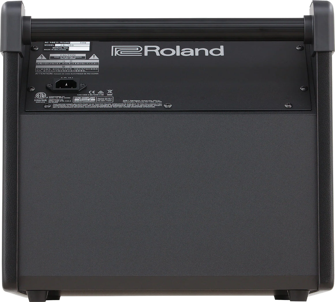 Roland PM-100 80 Watt Personal Monitor - Image 4