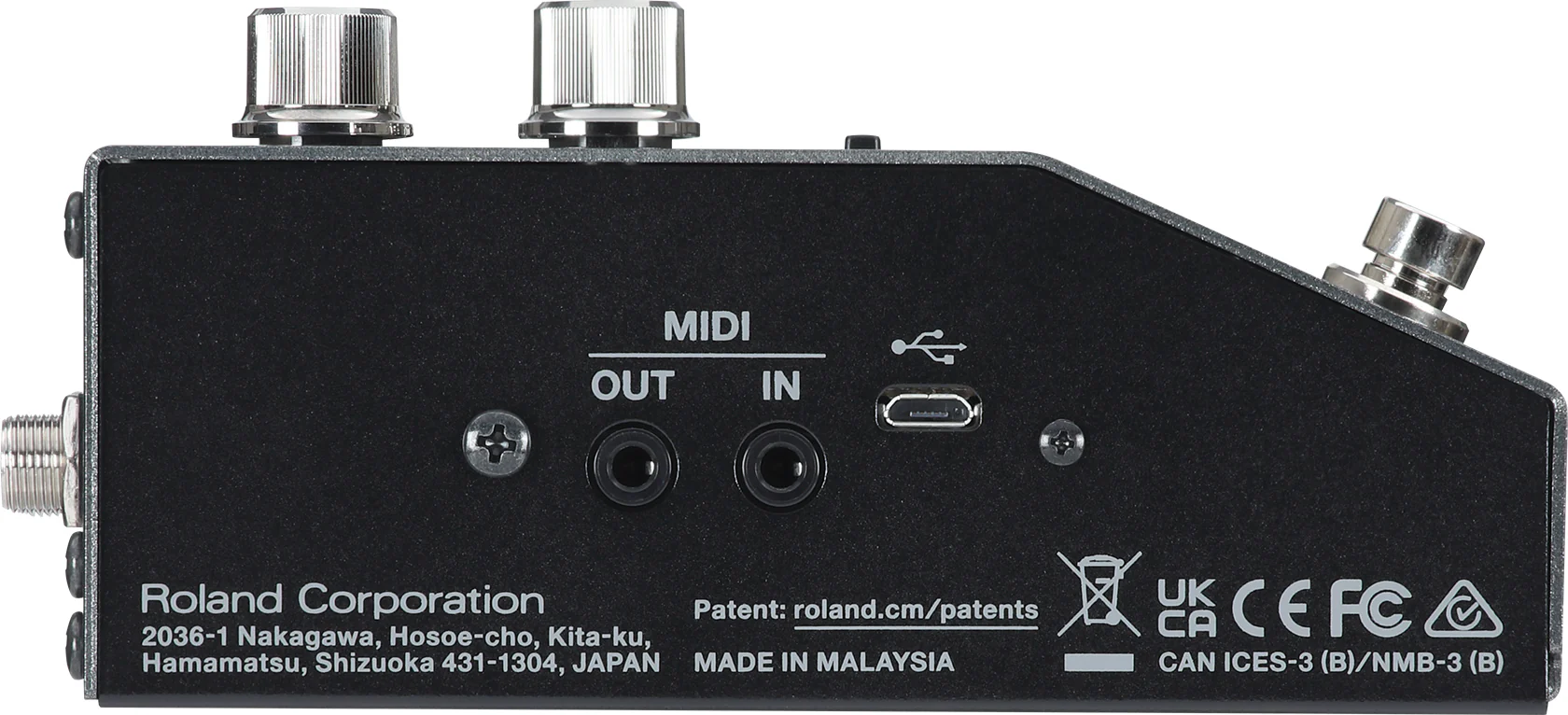 BOSS RV-200 Reverb Pedal - Image 4